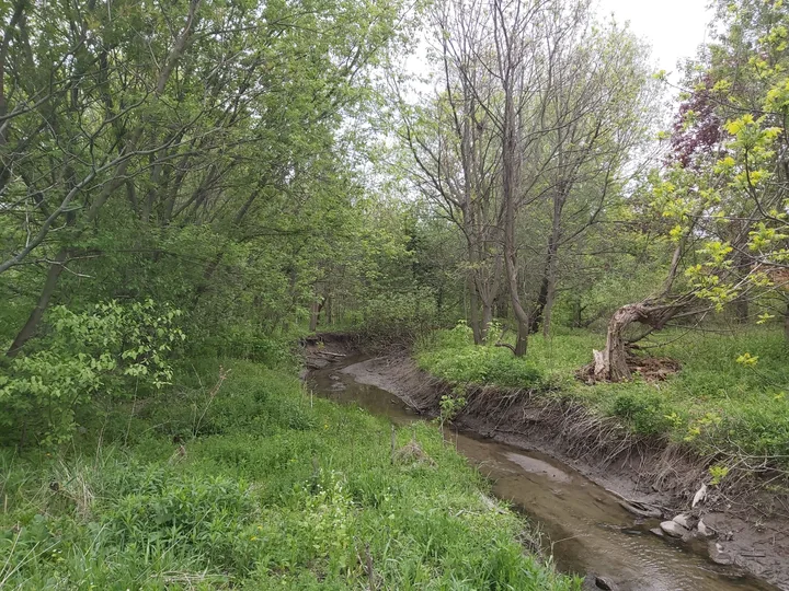 Dundee Park, Oshawa, Ontario